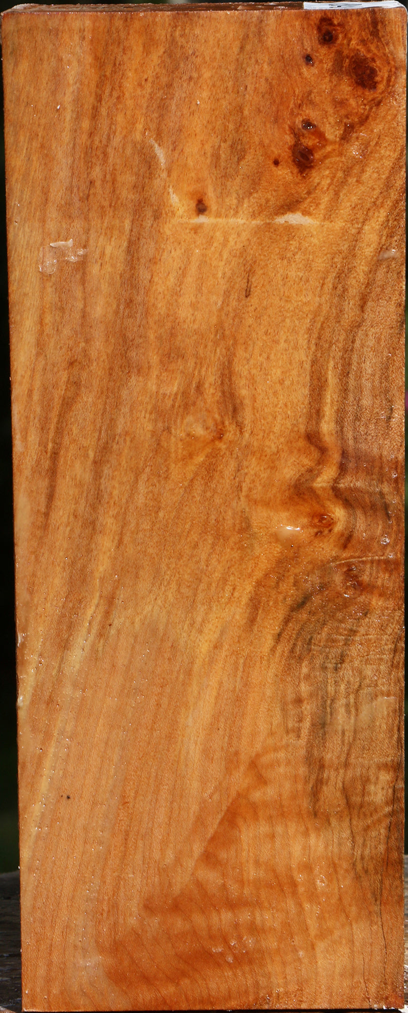 Figured Maple Vessel Blank