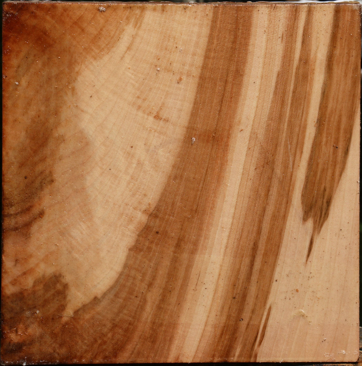 Figured Maple Bowl Blank
