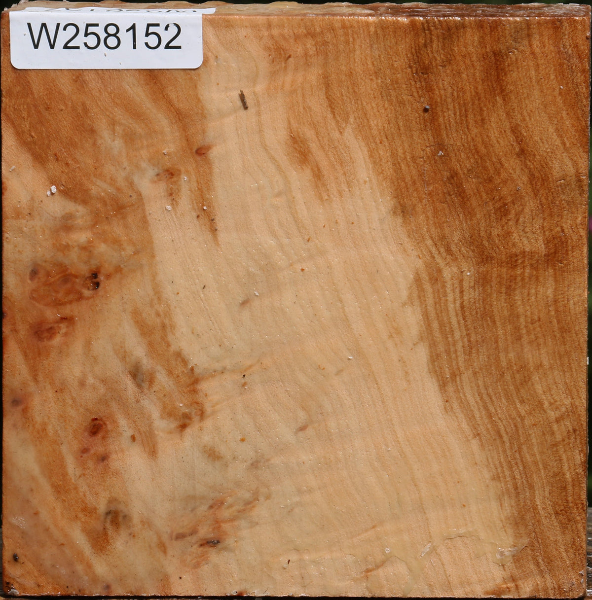 Figured Maple Bowl Blank