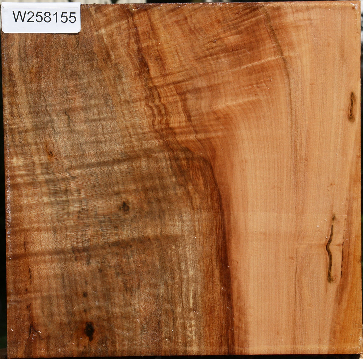Figured Maple Platter Blank