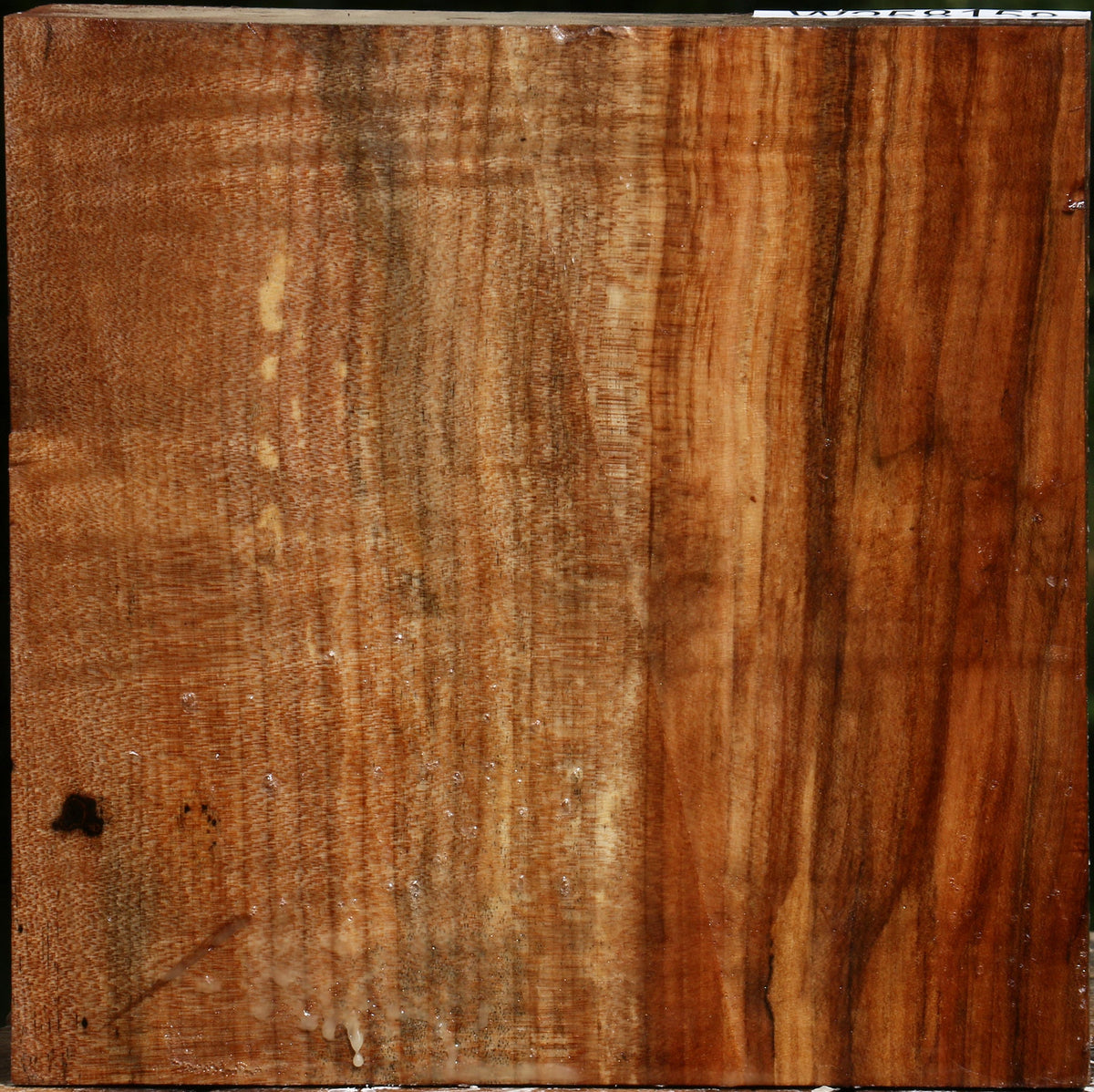 Figured Maple Bowl Blank