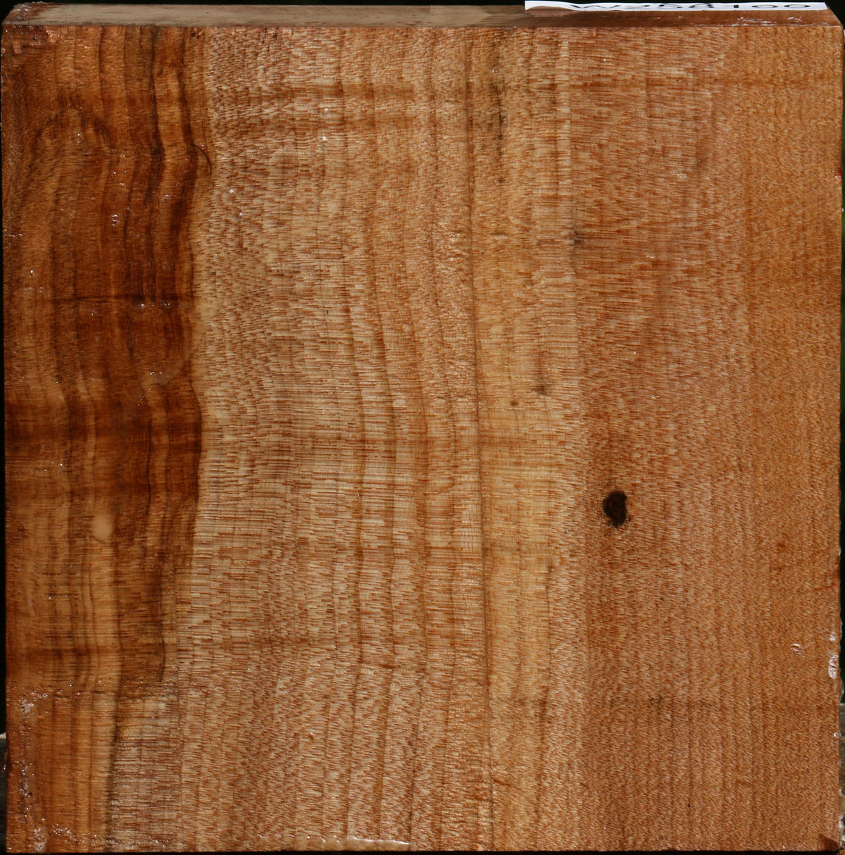 Figured Maple Bowl Blank