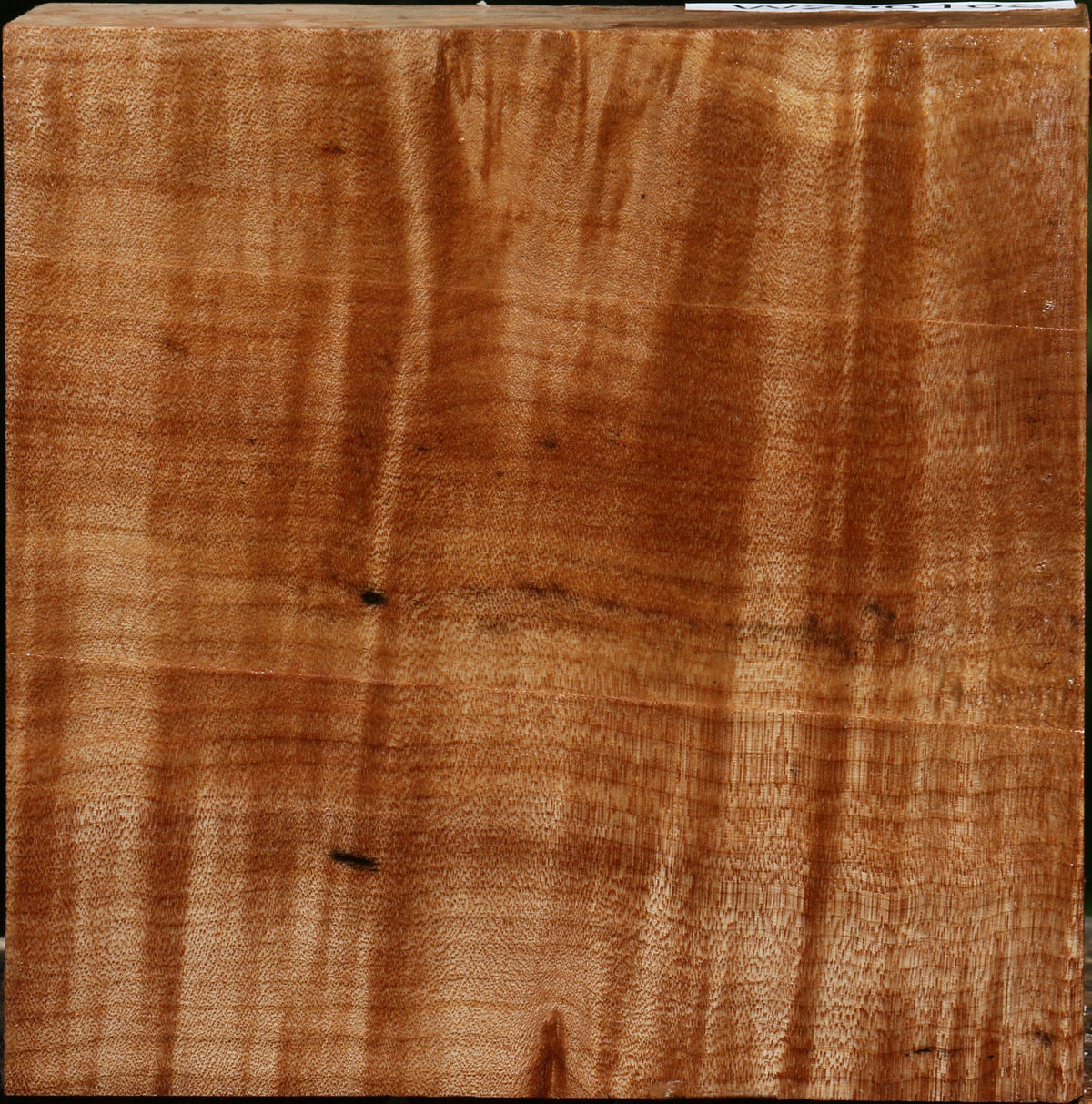 Figured Maple Bowl Blank