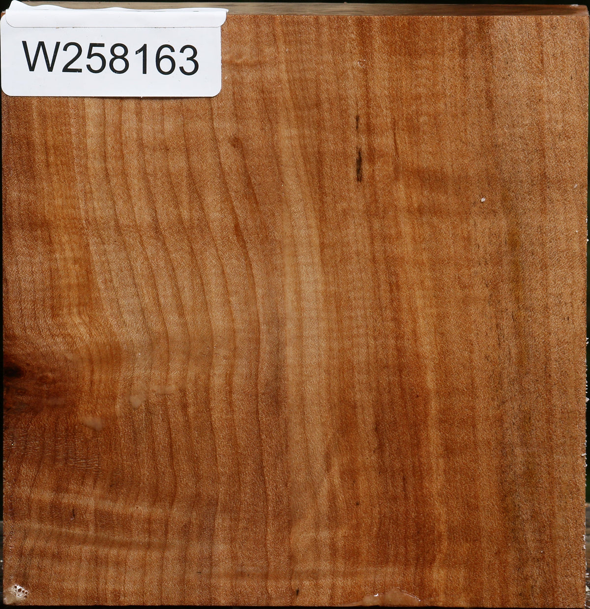 Figured Maple Bowl Blank