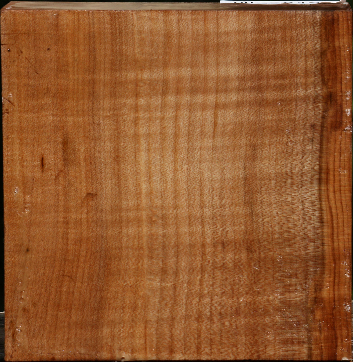 Figured Maple Bowl Blank