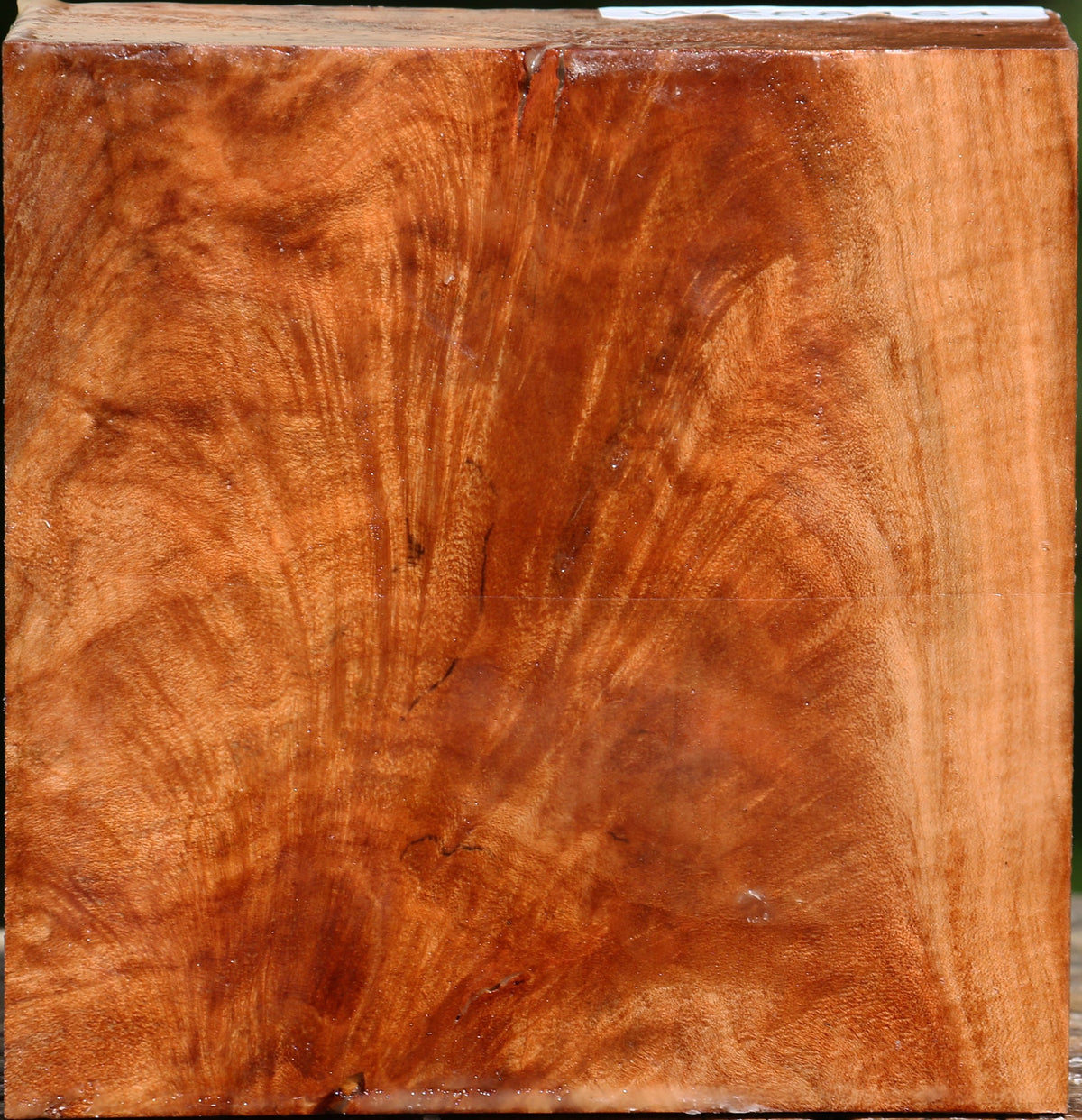 Extra Fancy Maple Bowl Blank