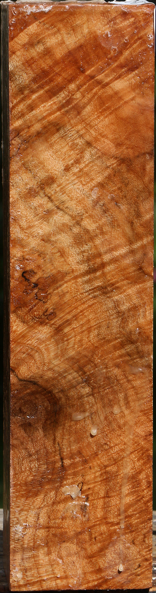 Extra Fancy Maple Peppermill