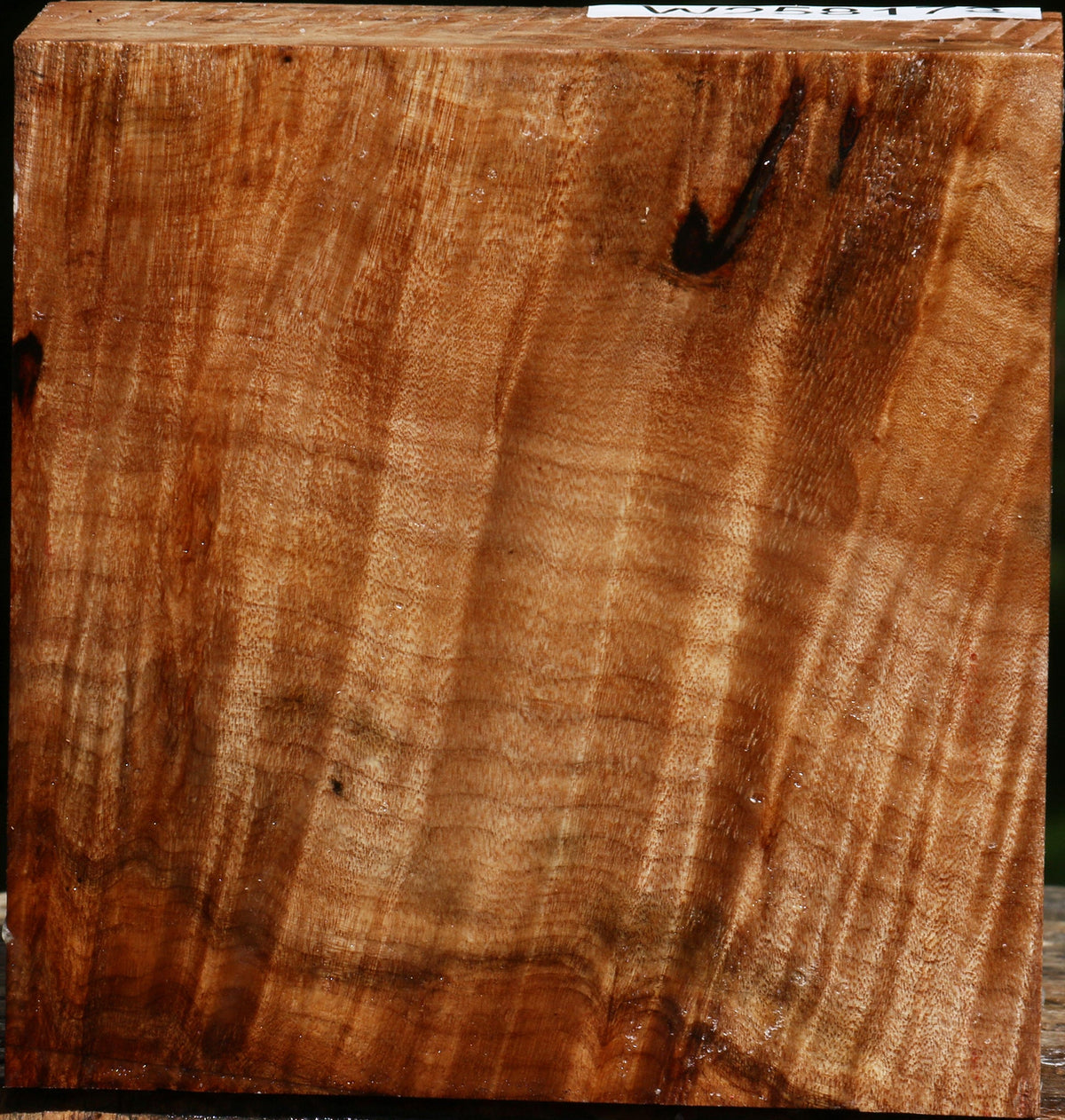 Extra Fancy Maple Bowl Blank