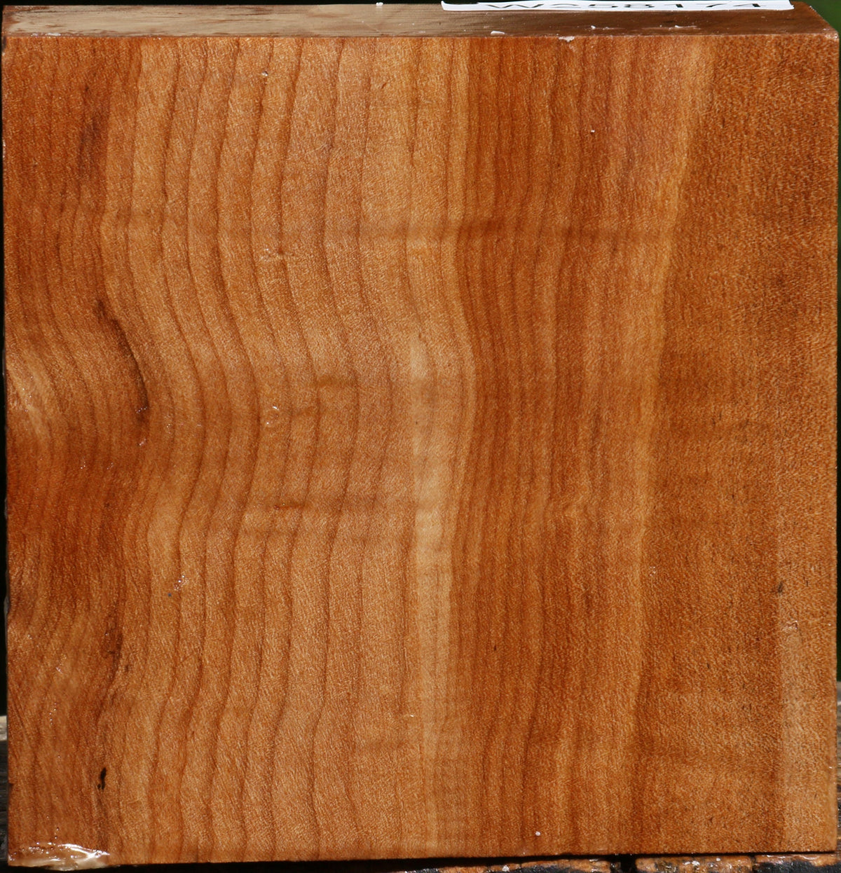 Figured Maple Bowl Blank
