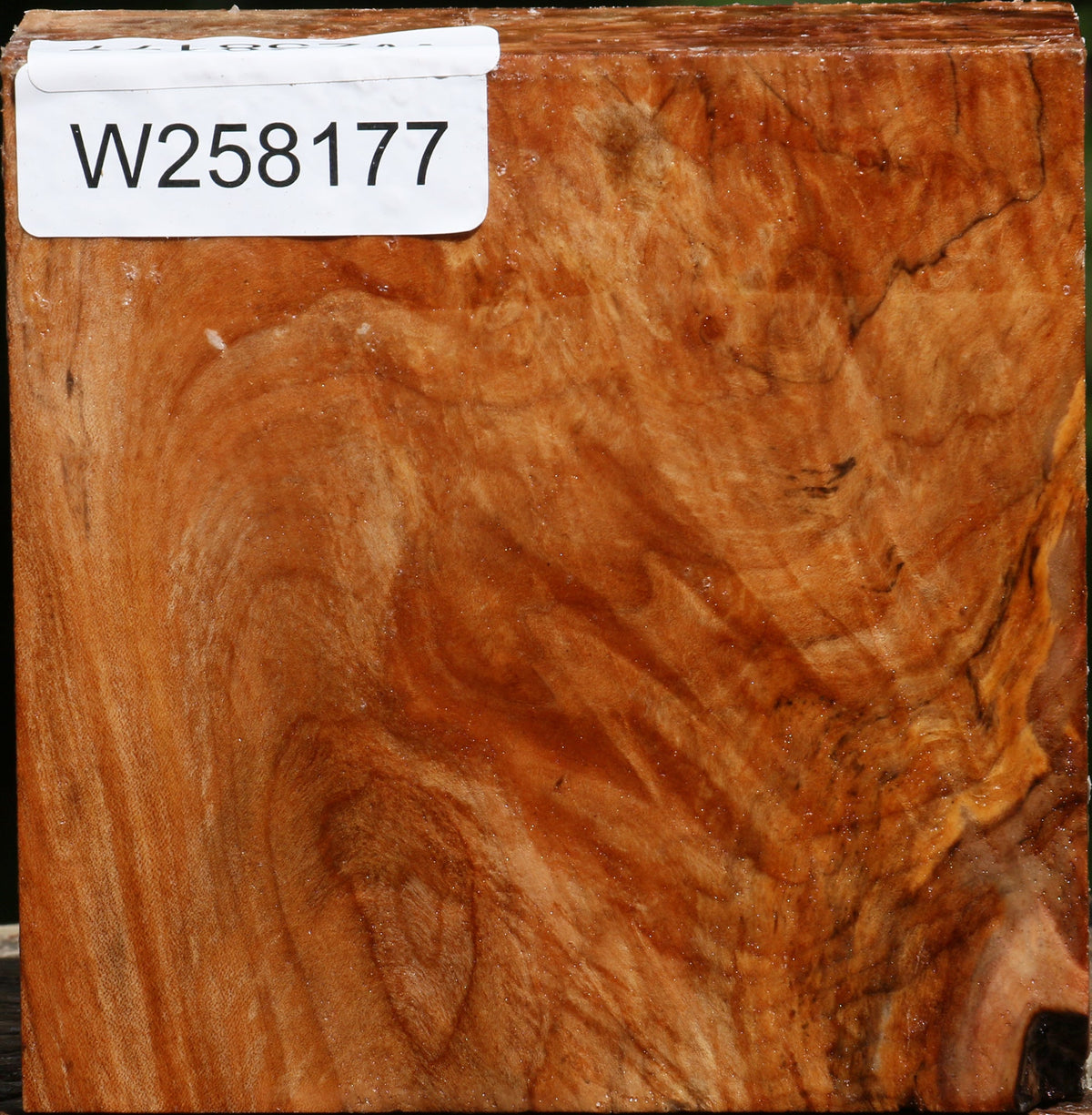 Figured Maple Bowl Blank