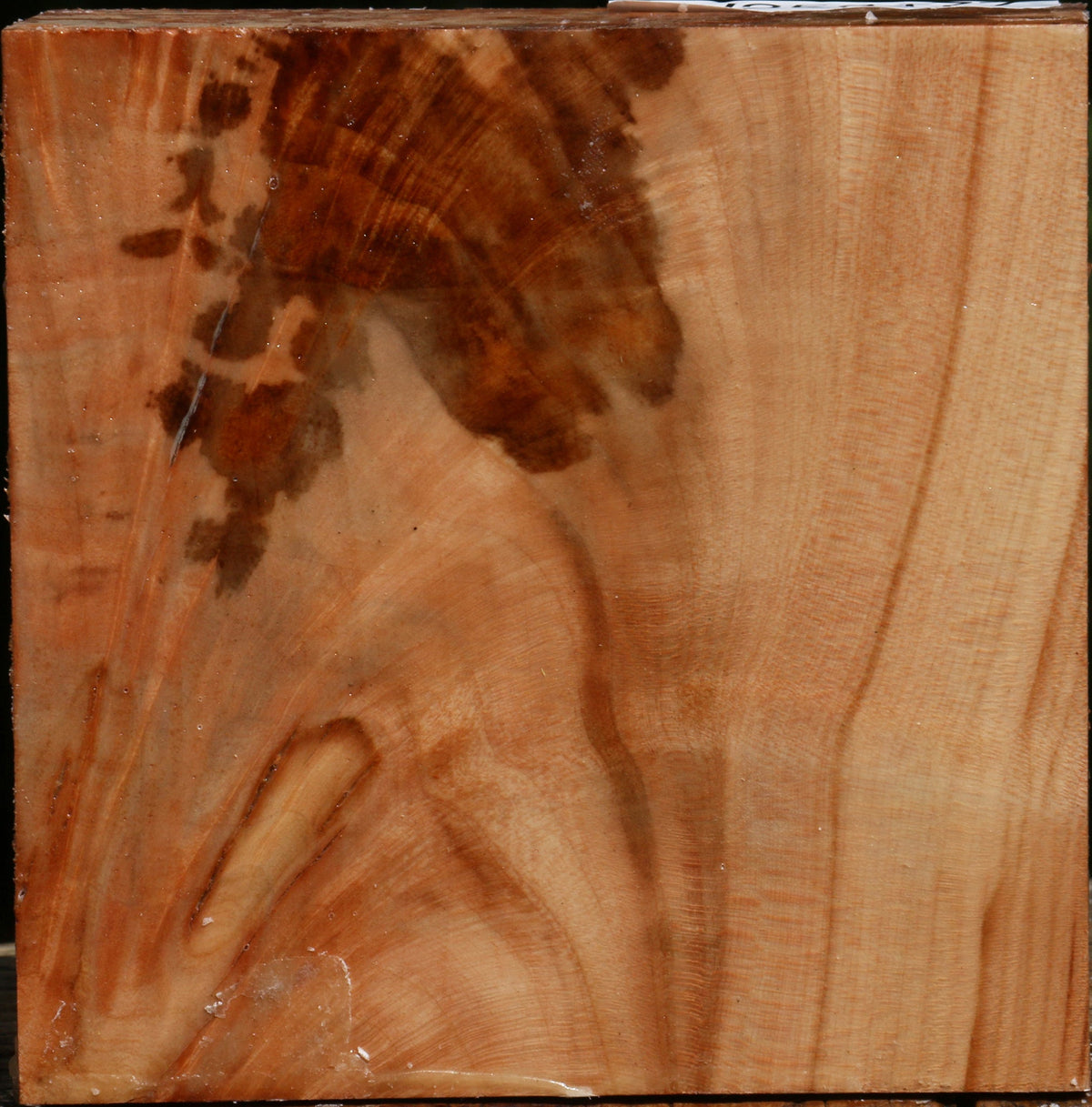 Figured Maple Bowl Blank