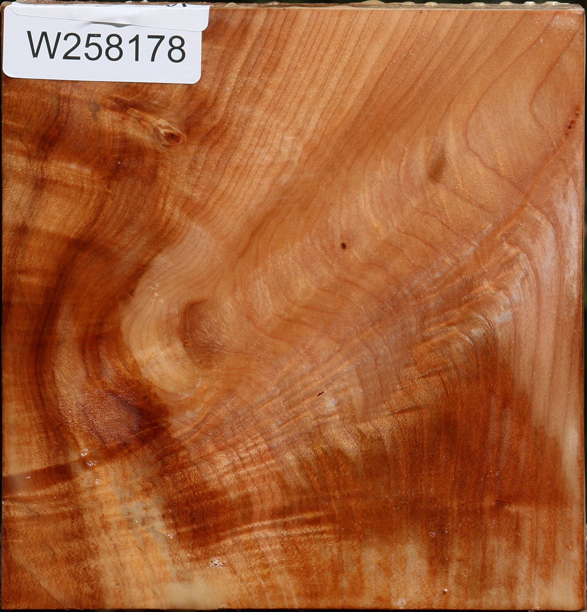 Figured Maple Bowl Blank