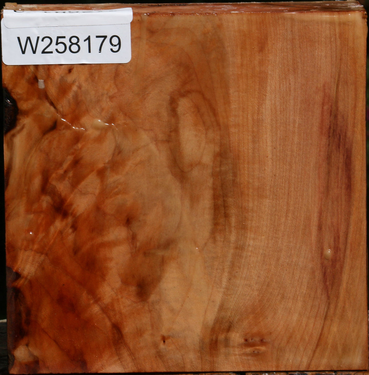 Figured Maple Bowl Blank