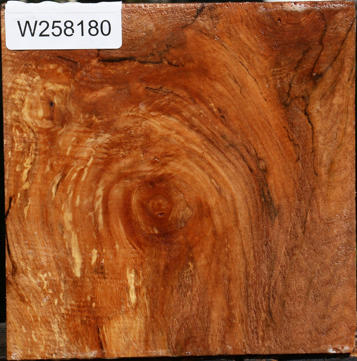 Figured Maple Bowl Blank