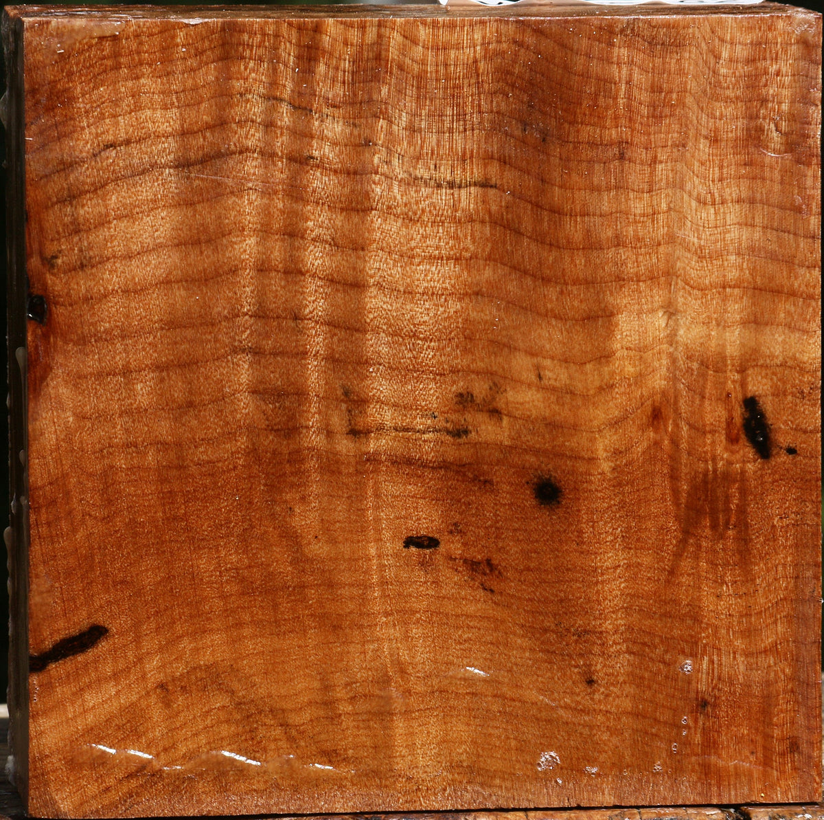 Figured Maple Bowl Blank