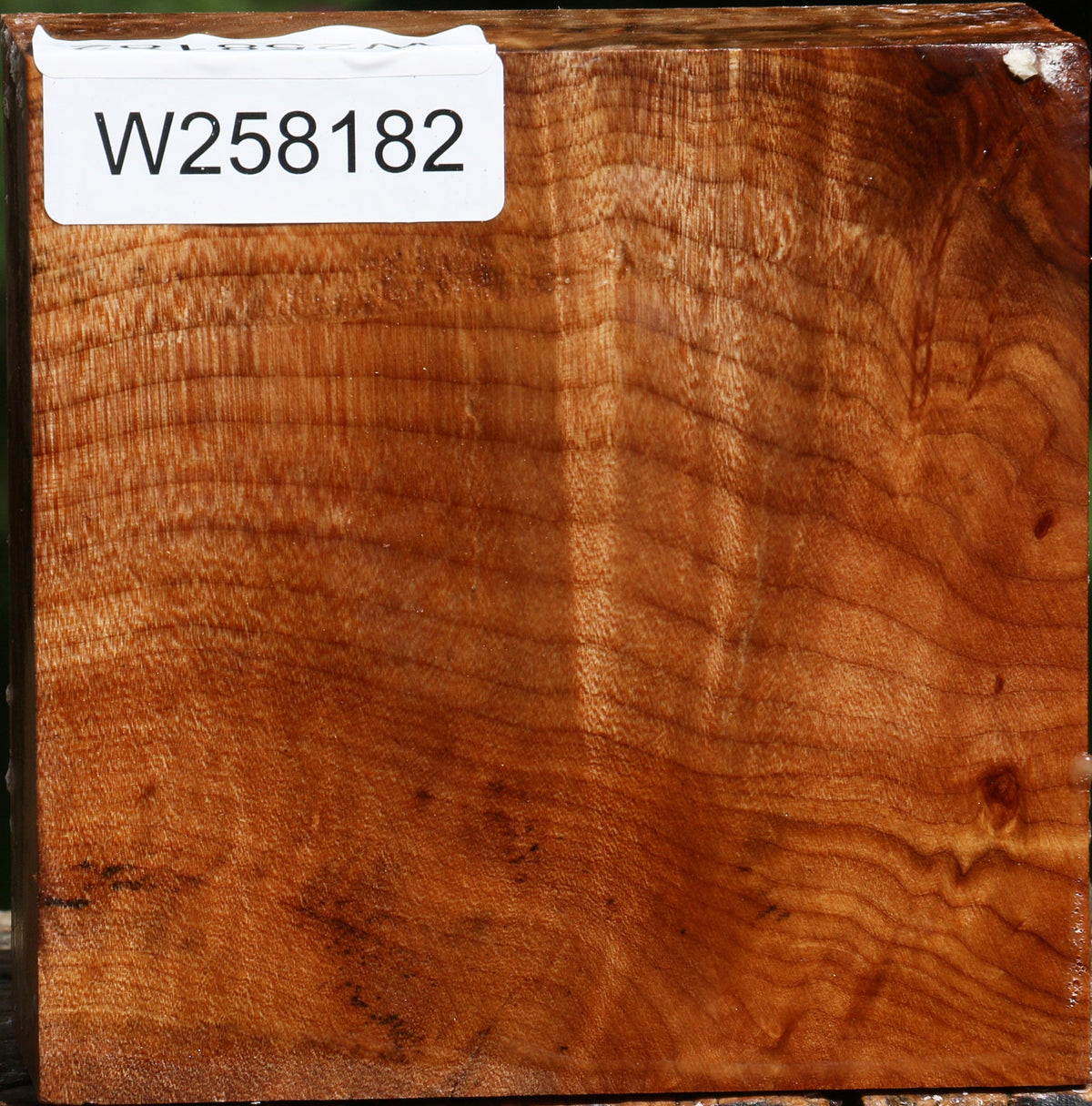 Figured Maple Bowl Blank