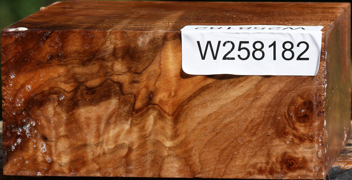 Figured Maple Bowl Blank
