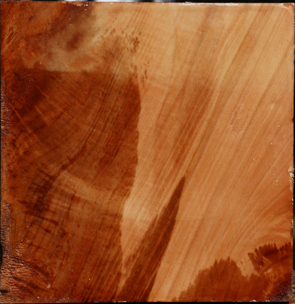 Extra Fancy Maple Bowl Blank