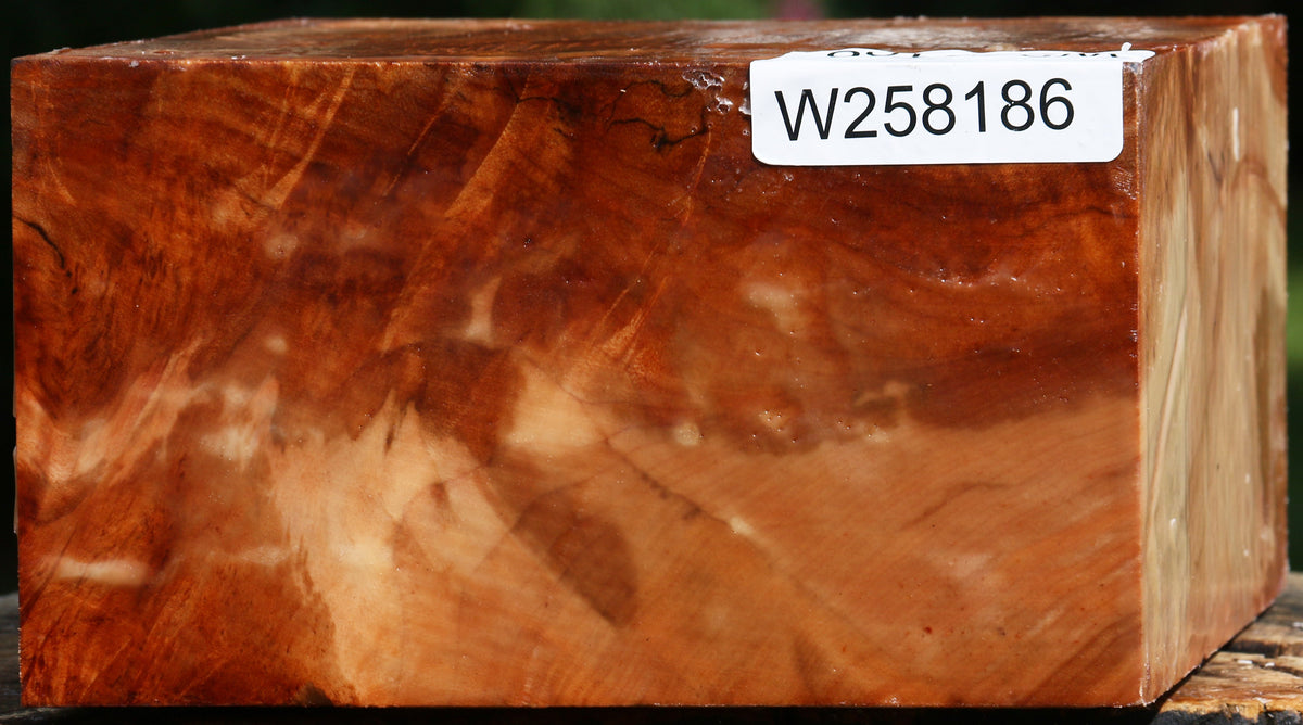 Extra Fancy Maple Bowl Blank