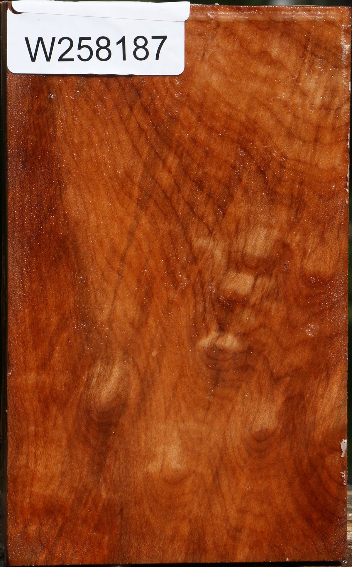 Figured Maple Turning Square
