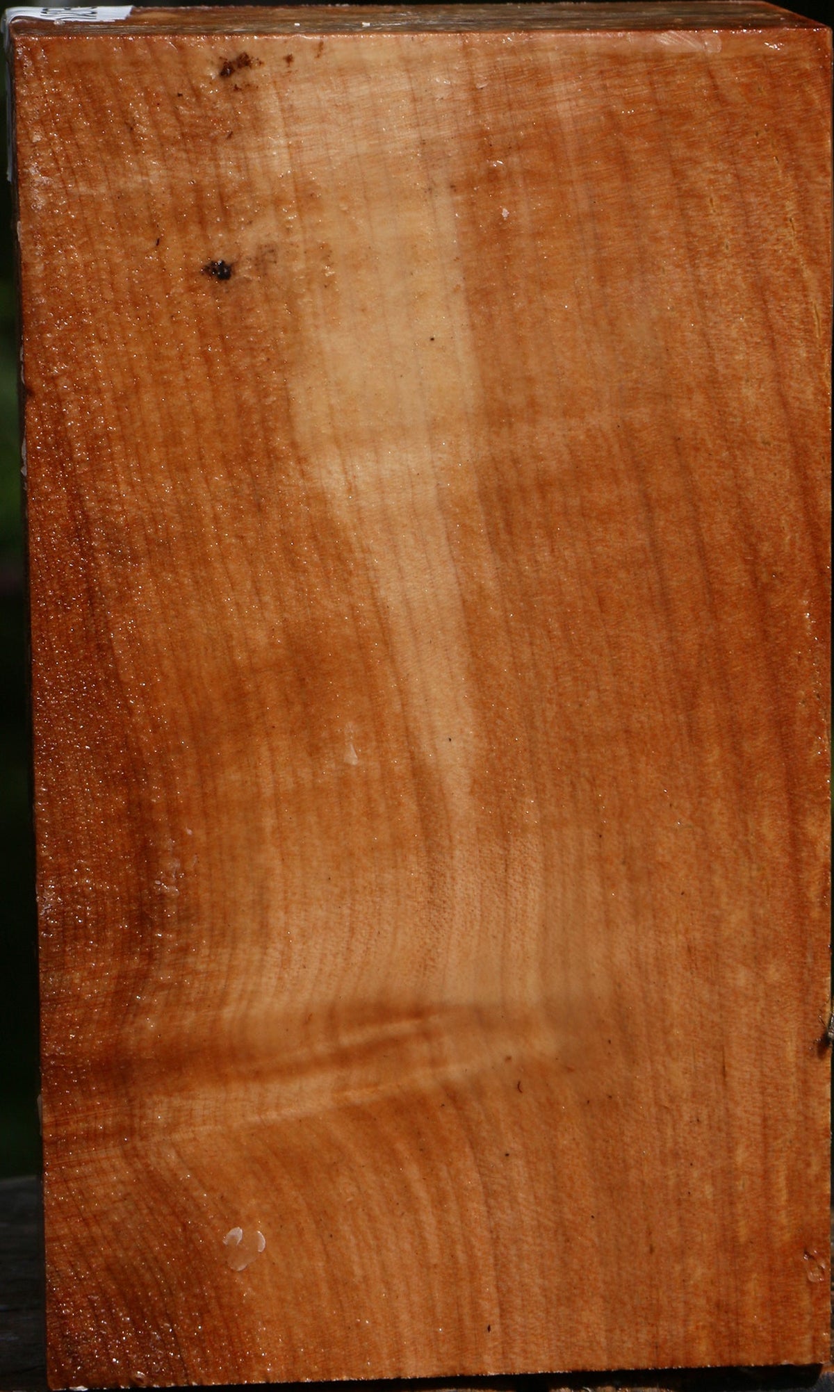 Figured Maple Turning Square
