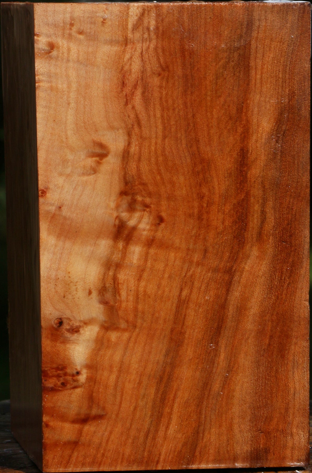 Figured Maple Turning Square