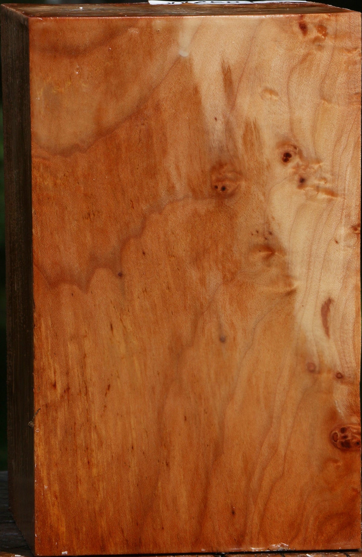 Figured Maple Turning Square