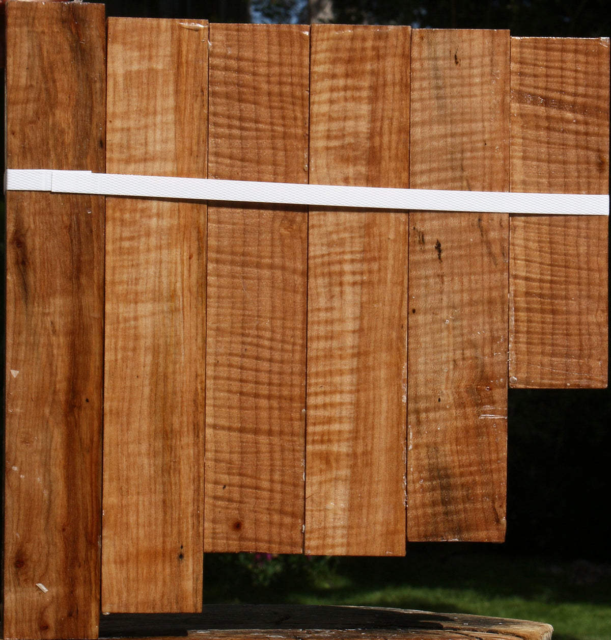 Figured Maple Turning Square 6 Pack