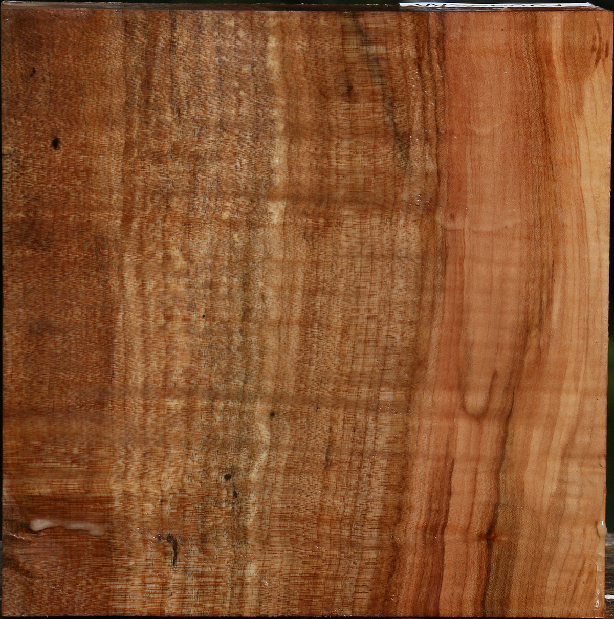 Figured Maple Bowl Blank
