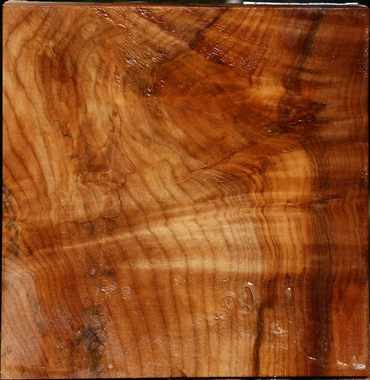 Extra Fancy Maple Bowl Blank