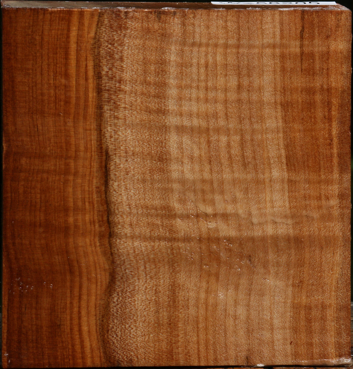 Figured Maple Bowl Blank