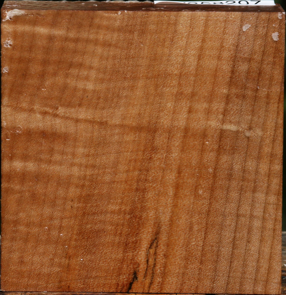 Figured Maple Bowl Blank