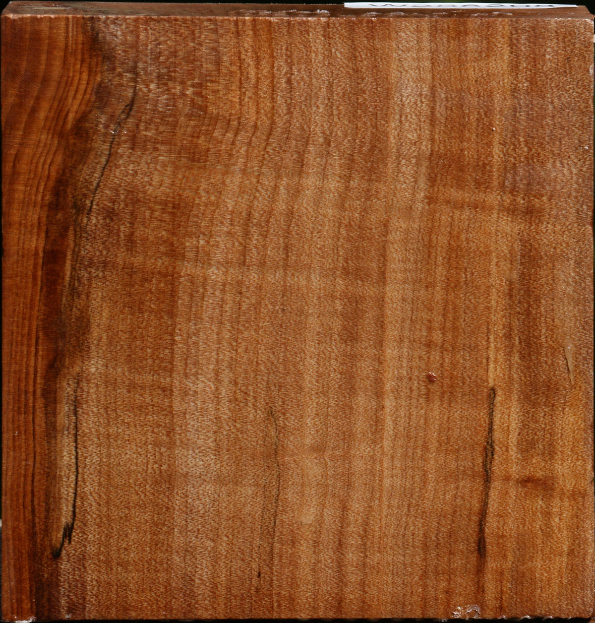 Figured Maple Bowl Blank