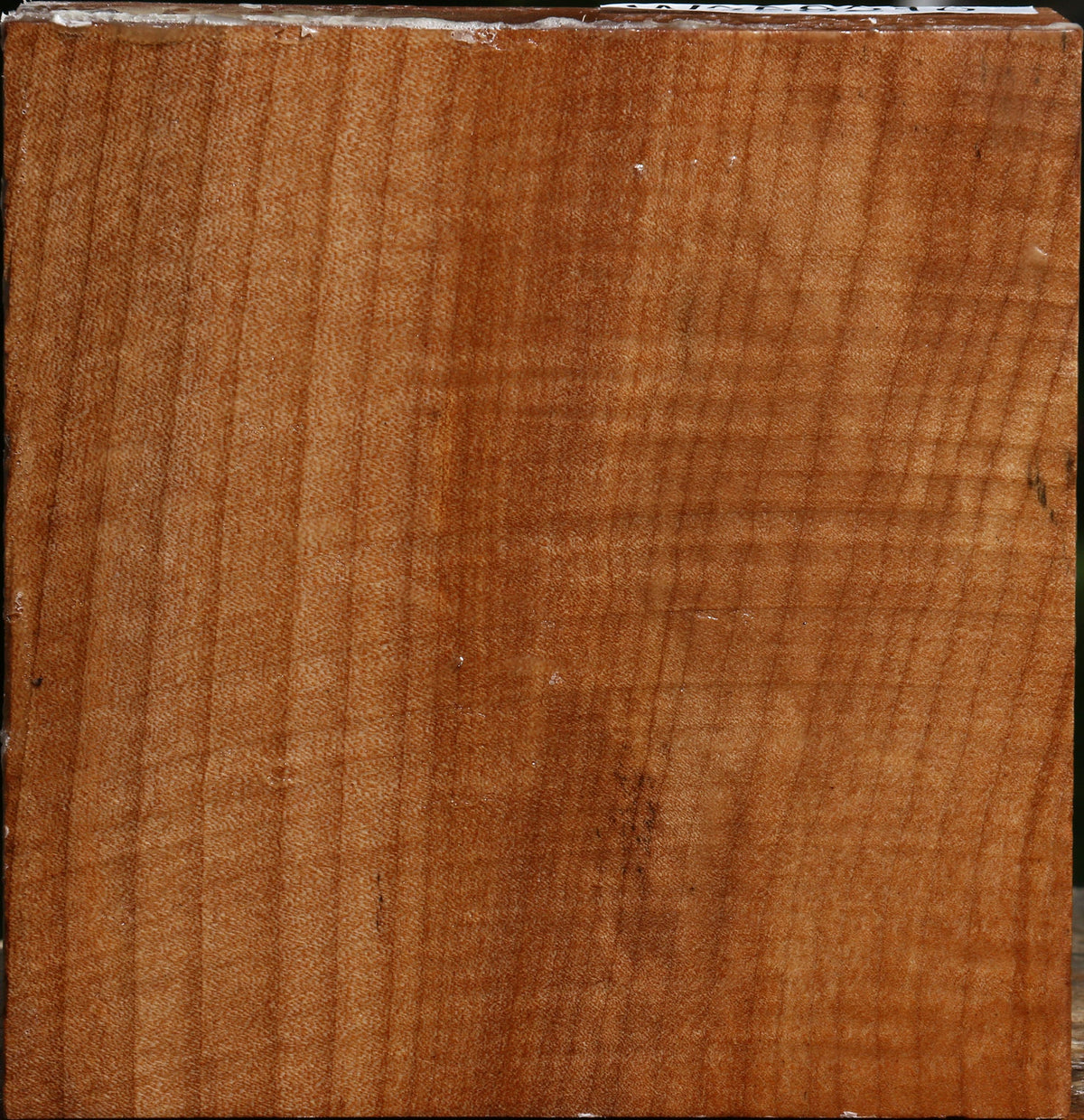 Figured Maple Bowl Blank