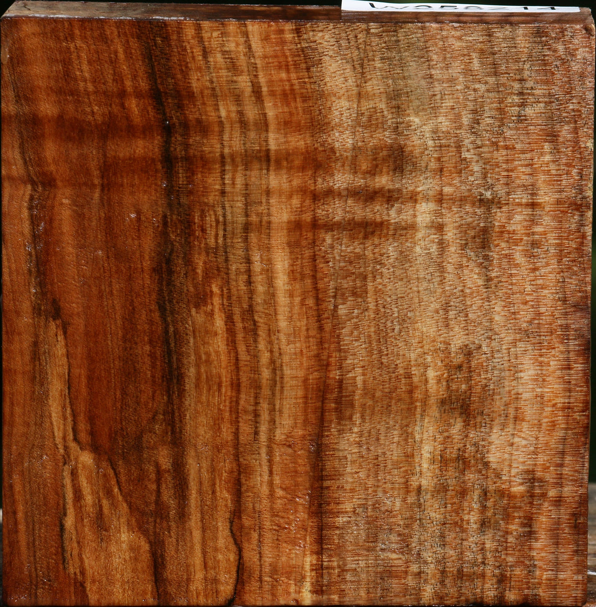 Figured Maple Bowl Blank