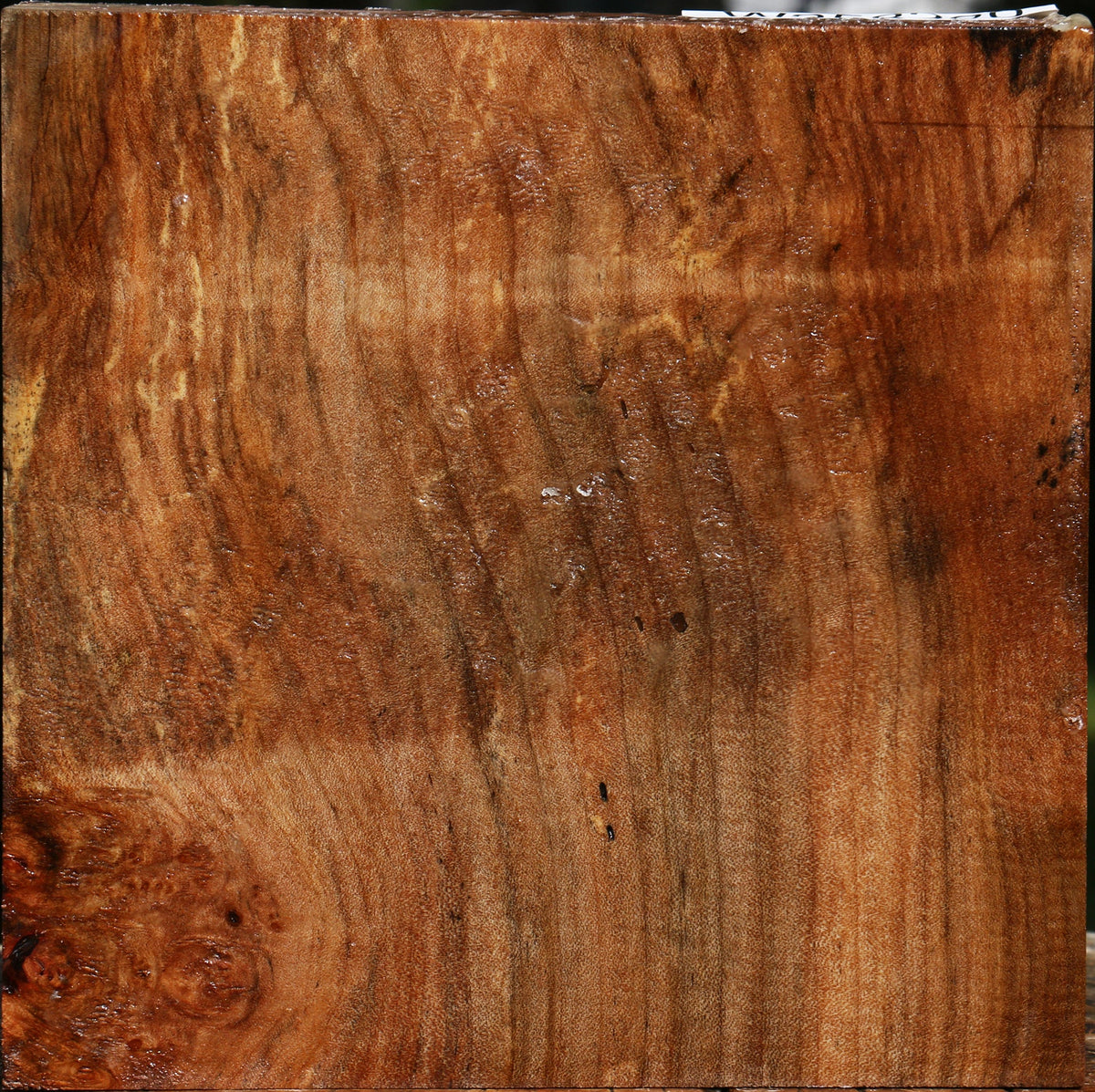 Figured Maple Bowl Blank