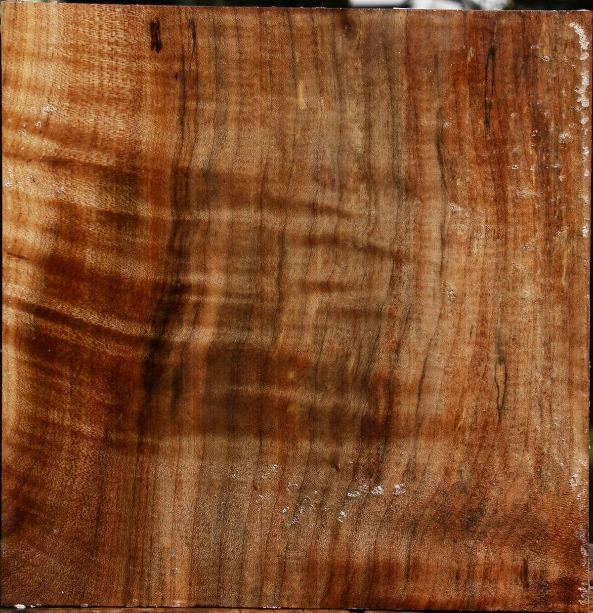 Figured Maple Bowl Blank