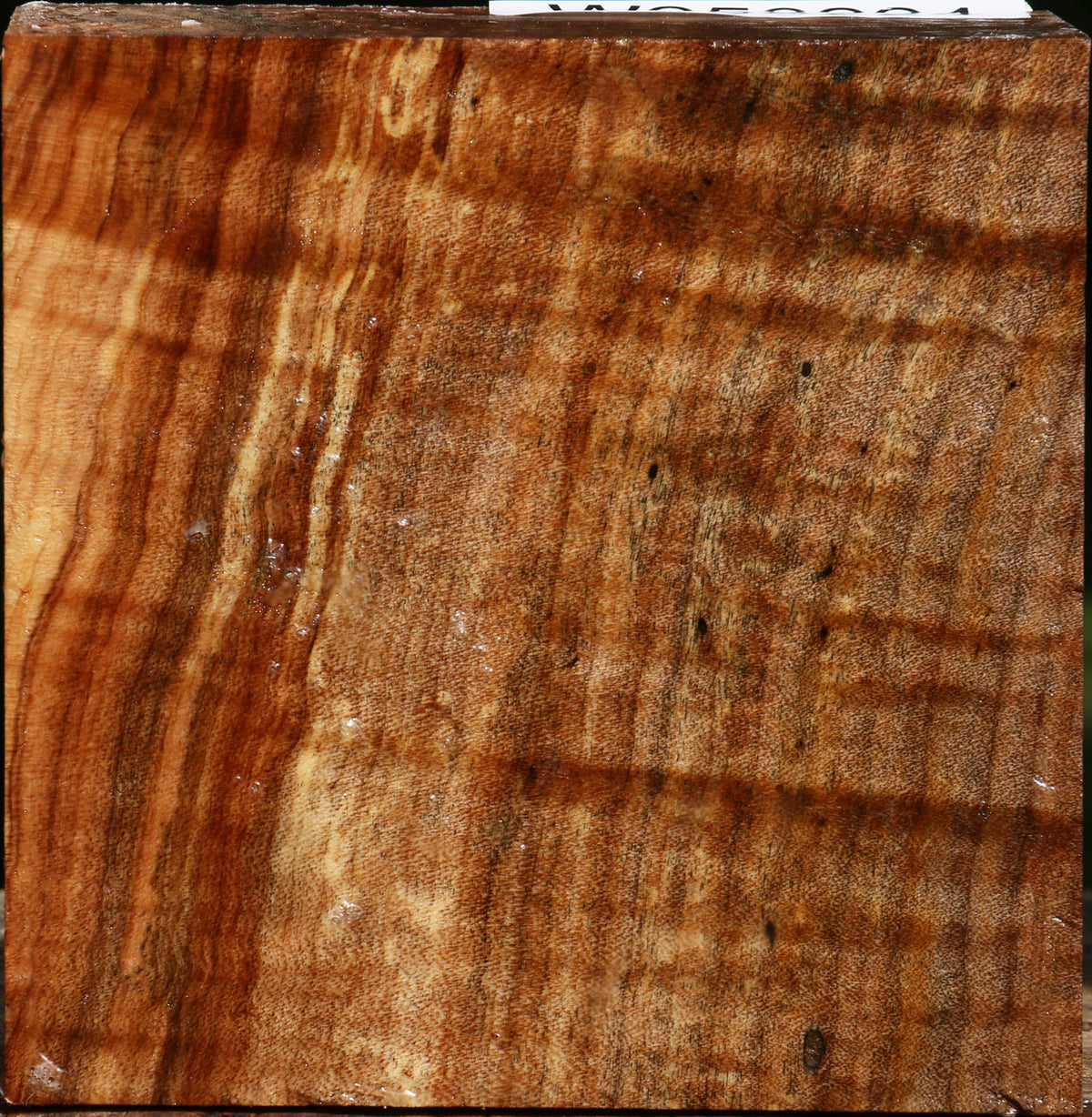 Figured Maple Bowl Blank