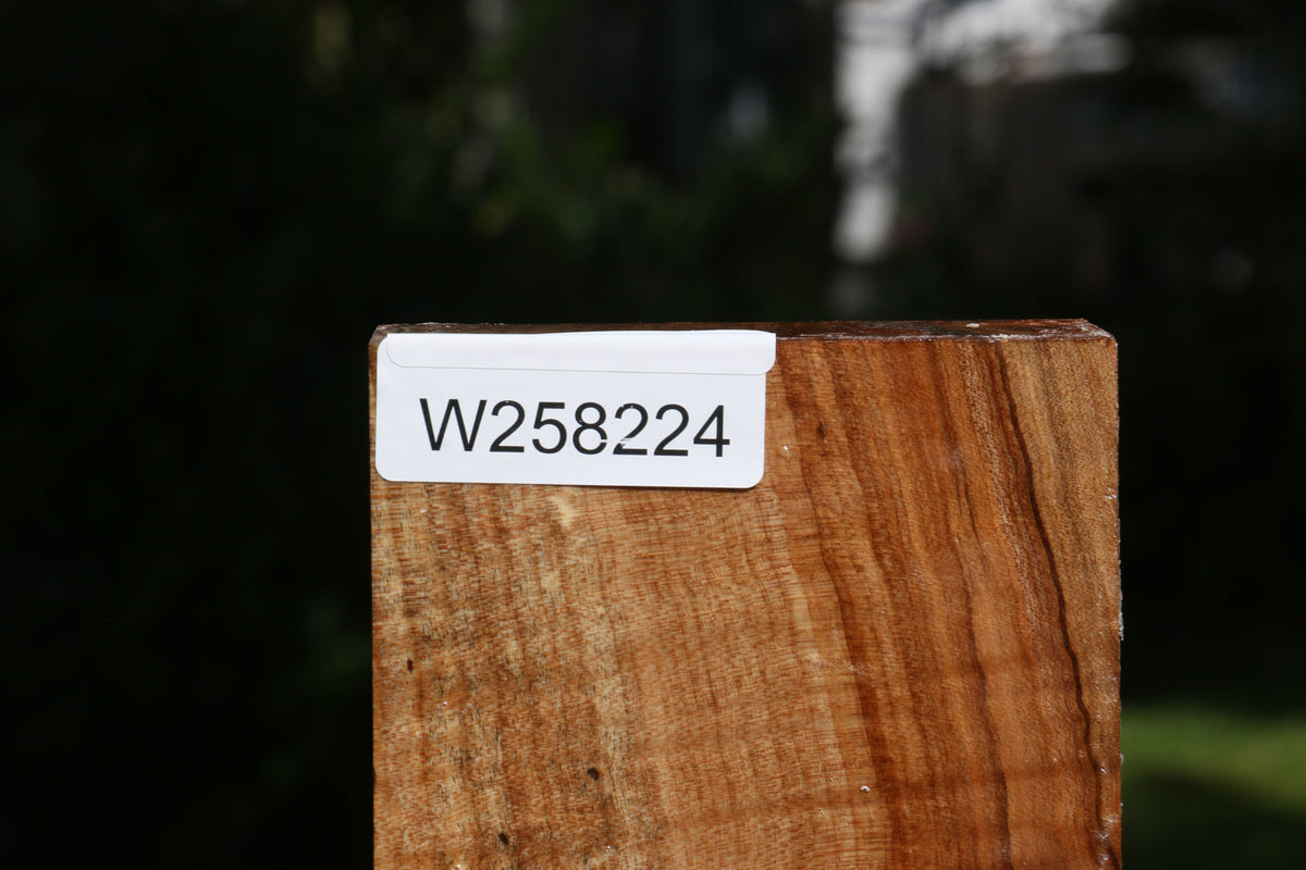 Figured Maple Bowl Blank
