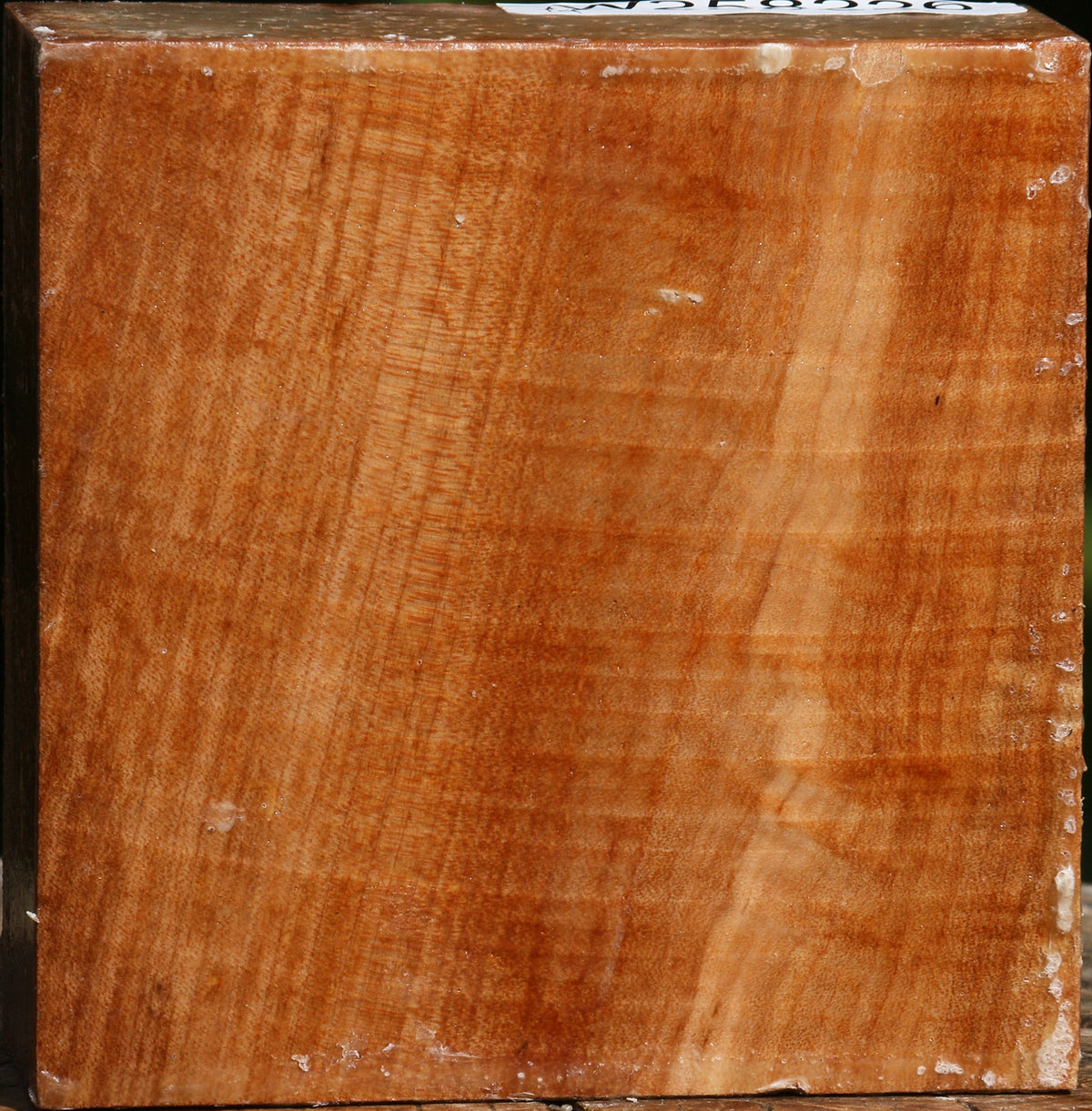 Figured Maple Bowl Blank