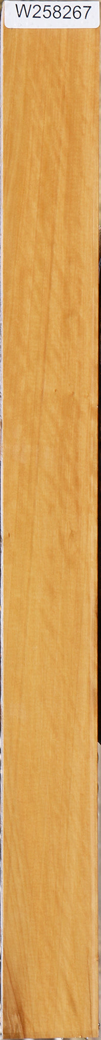 Extra Fancy Castello Boxwood Lumber