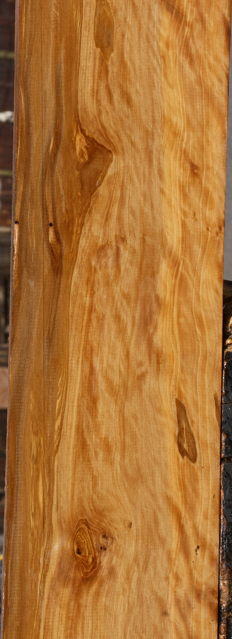 Extra Fancy Castello Boxwood Lumber