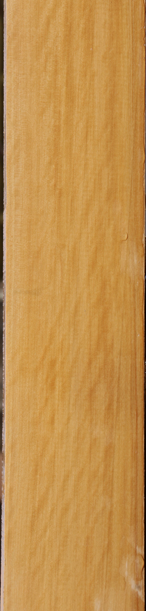 Extra Fancy Castello Boxwood Lumber
