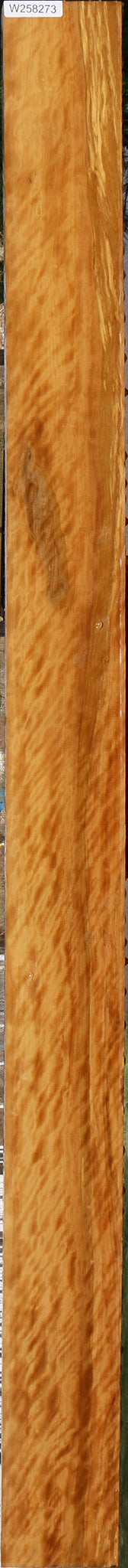 Extra Fancy Castello Boxwood Lumber