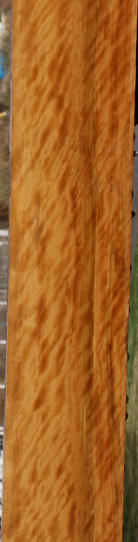 Extra Fancy Castello Boxwood Lumber