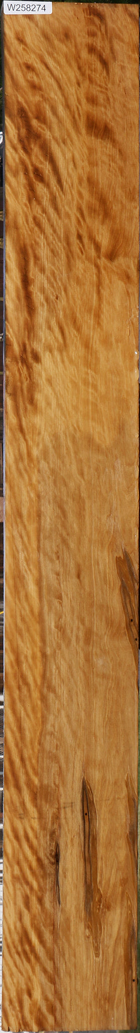 Exhibition Castello Boxwood Lumber