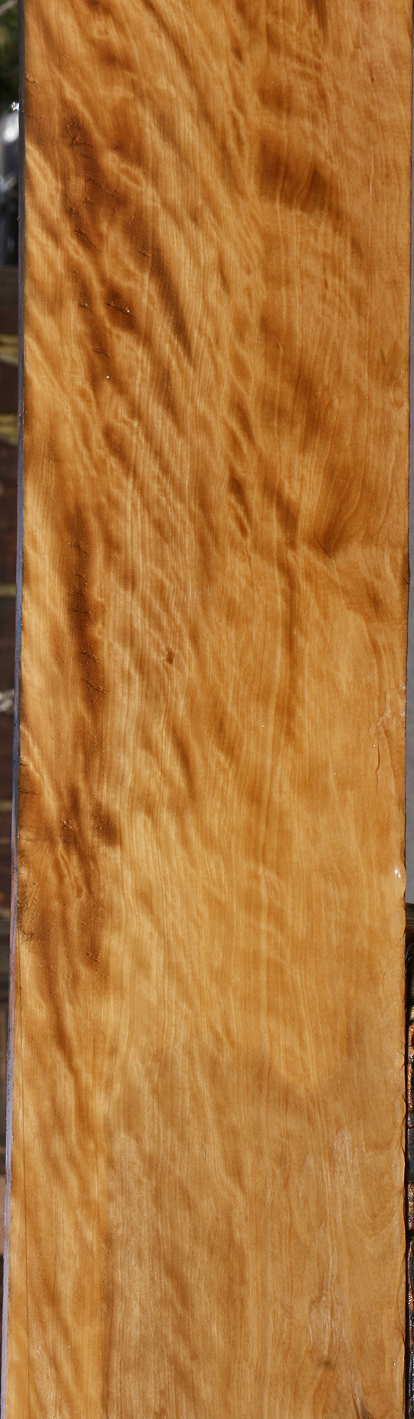 Exhibition Castello Boxwood Lumber