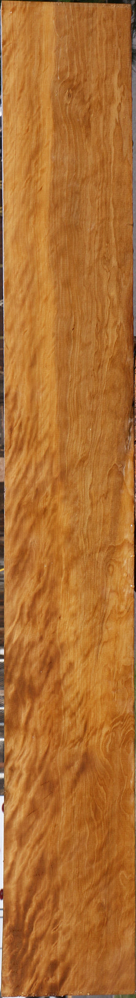 Exhibition Castello Boxwood Lumber