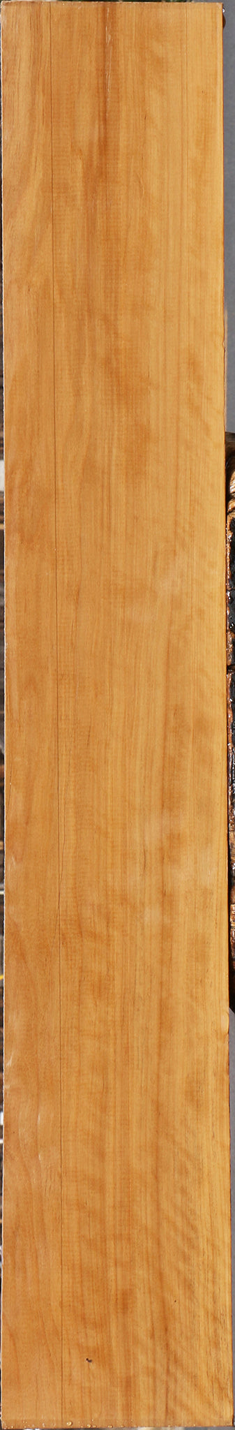 Figured Castello Boxwood Lumber