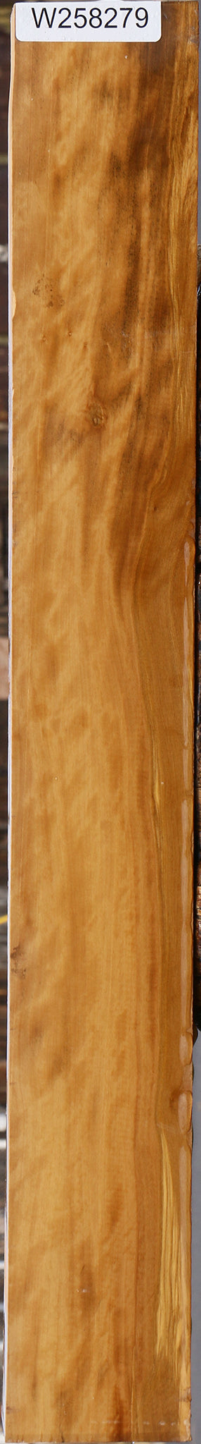Extra Fancy Castello Boxwood Lumber